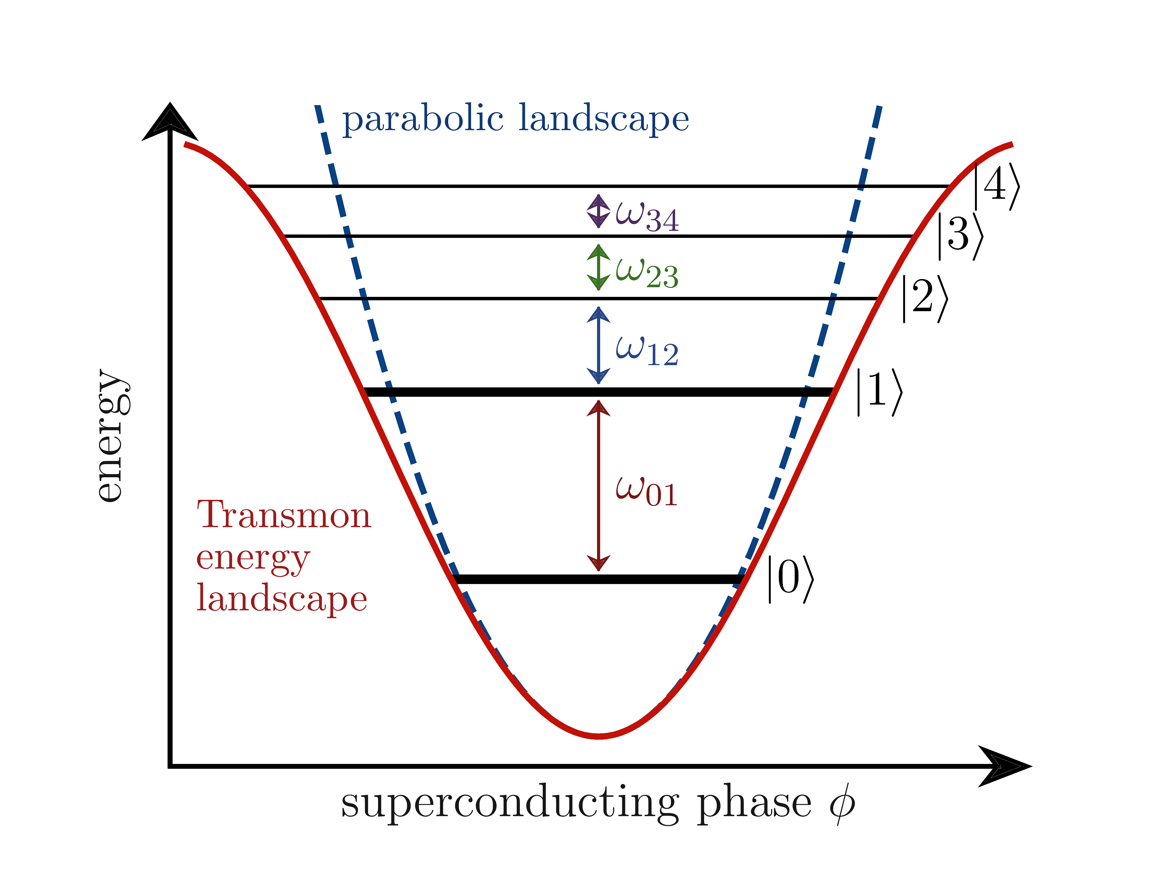 Potential of the circuit as a function of the superconducting phase, and the non-linear energy levels of the Josephson junction